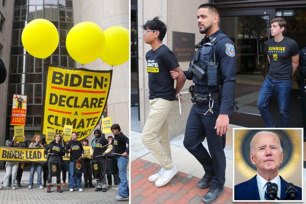 Dozens arrested for breaching Bidenâs Delaware campaign HQ as organizer warns âyoung people wonât supportâ prezÂ 